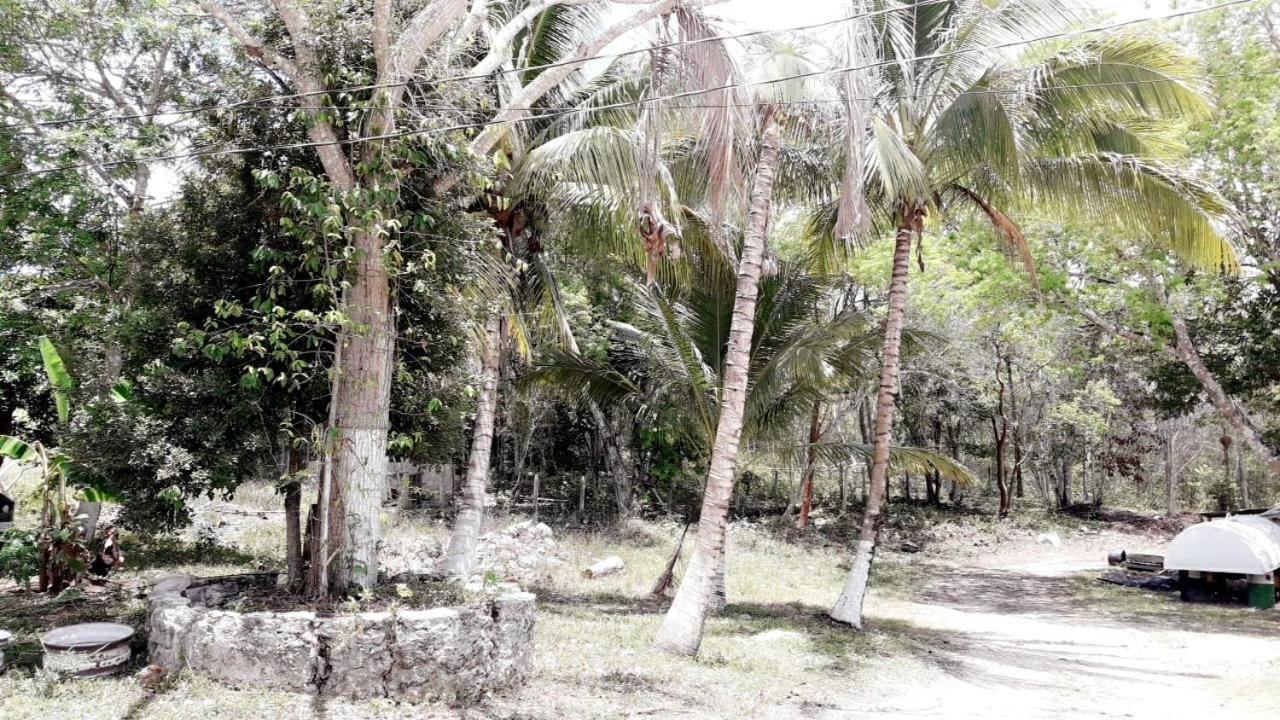 Hotel Templo Maya Ешпухил Екстериор снимка